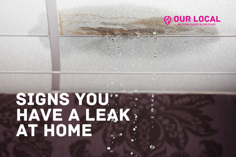 Signs you have a leak at home