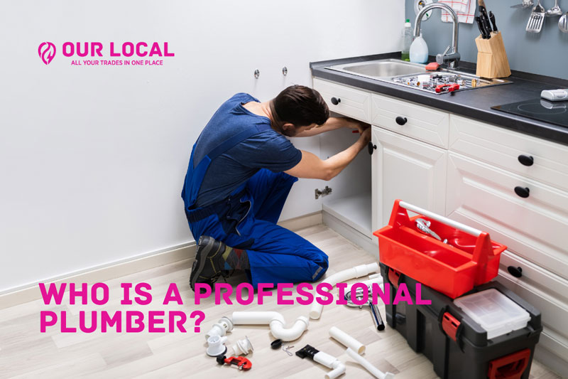 who is a professional plumber